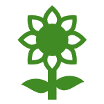 Flower icon